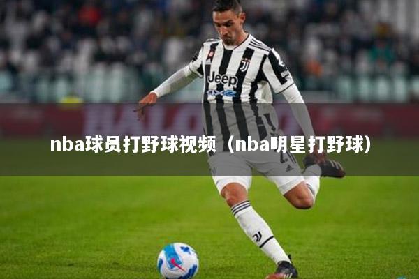 nba球员打野球视频（nba明星打野球）