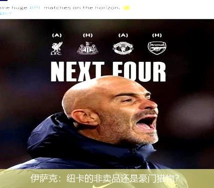 伊萨克:纽卡的非卖品还是豪门猎物?
