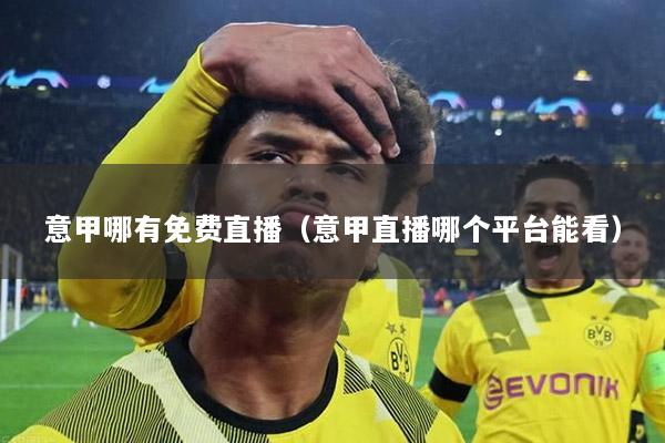 意甲哪有免费直播（意甲直播哪个平台能看）