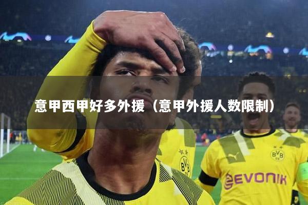 意甲西甲好多外援（意甲外援人数限制）