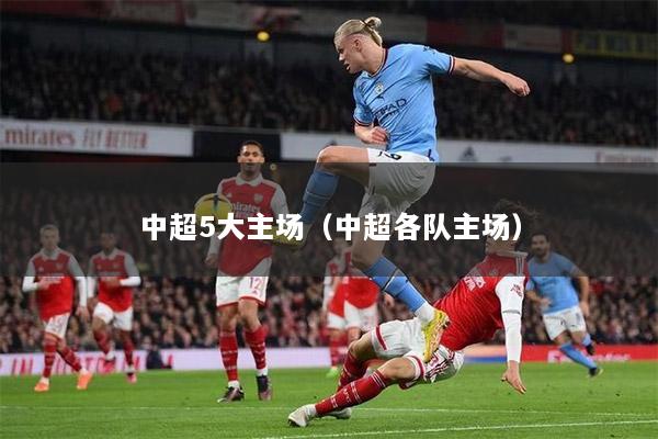中超5大主场（中超各队主场）