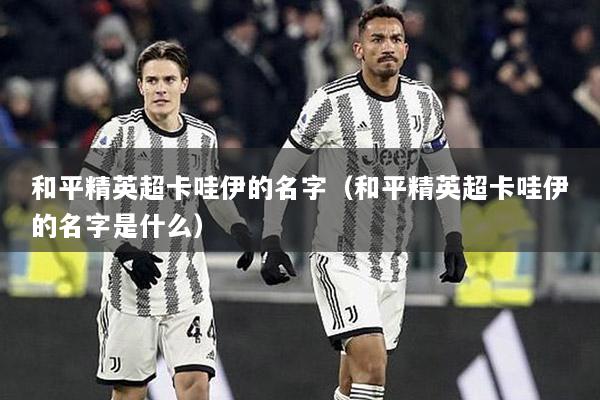 和平精英超卡哇伊的名字（和平精英超卡哇伊的名字是什么）